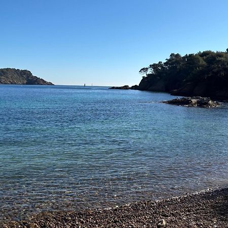 Lavande Centre Ancien Port Plages By Laconciergerie13 La Ciotat Exterior photo
